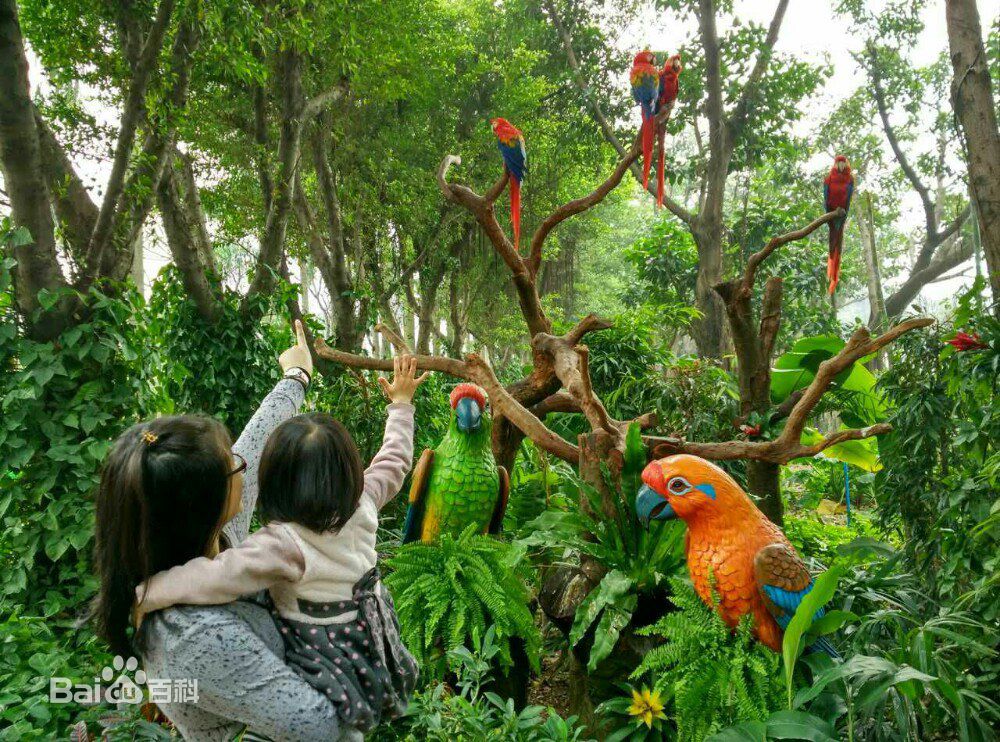 Bird lovers, visit Chimelong to join birds in welcoming the Spring Festival, and also to see kite-flying