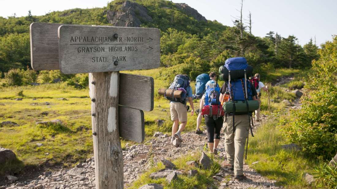 The Psychology and Science Behind How Hiking Trails Are Created