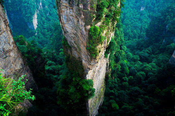 Avatar Hallelujah Mountain