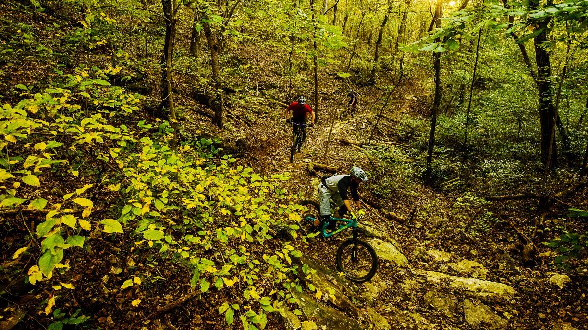 A Day in the Life of a Mountain-Bike Trail Builder