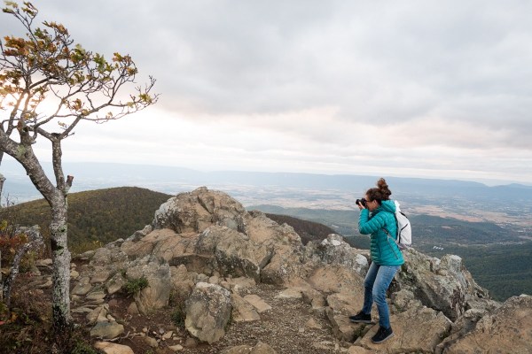 A Guide to Leaf Peeping in Shenandoah National Park 