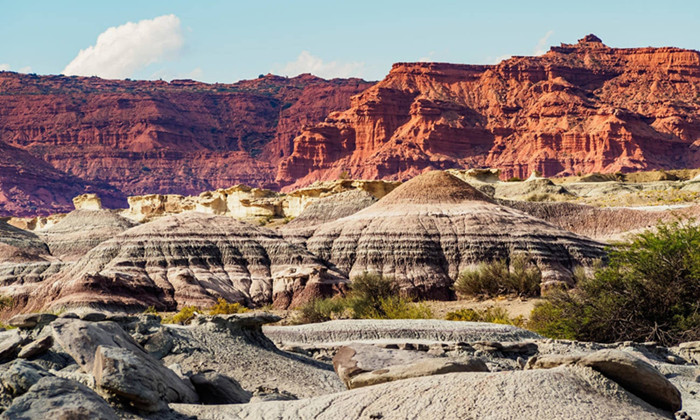 Wining and dinosauring in San Juan, Argentina