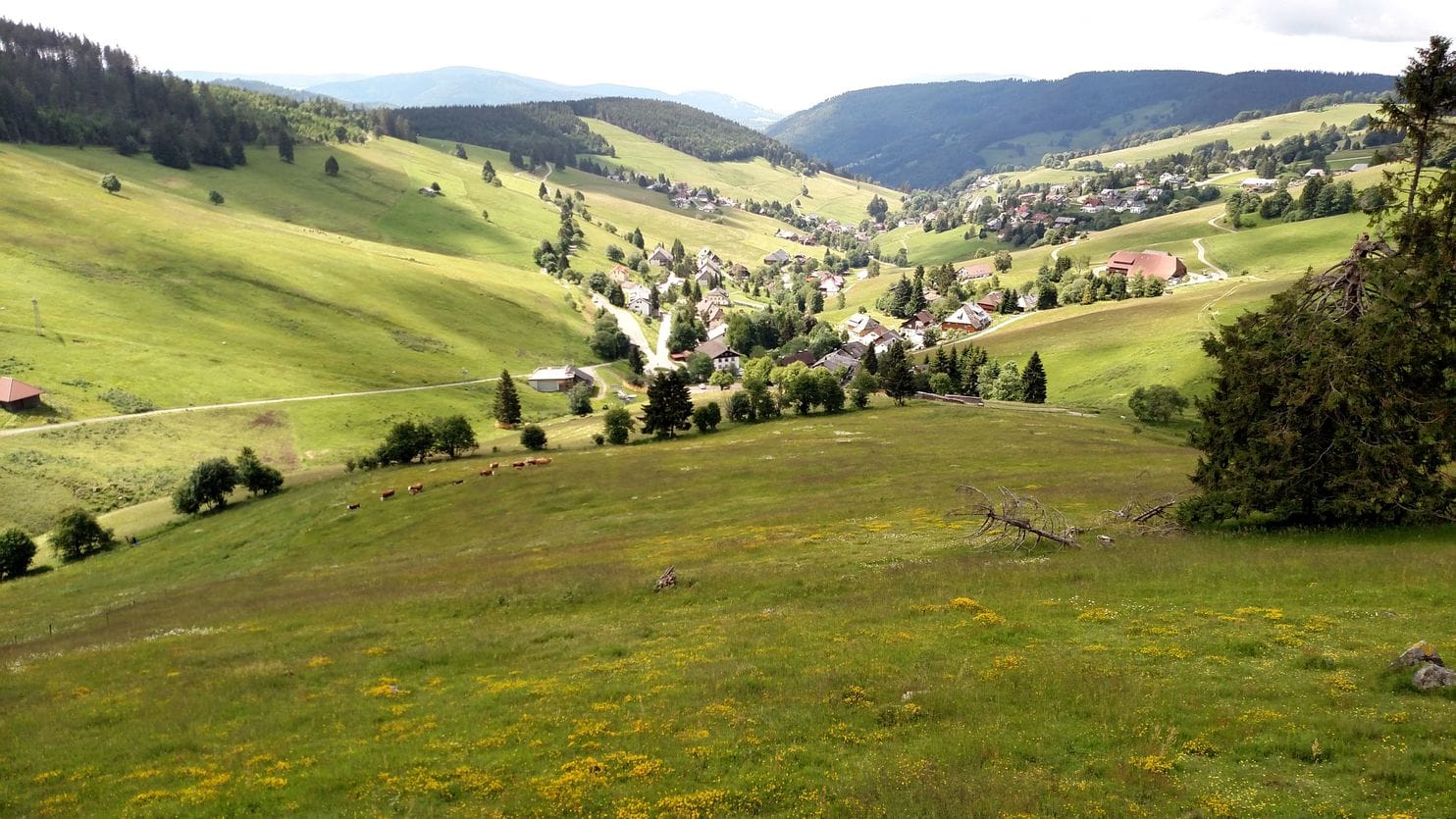 A Black Forest trek to German philosopher Heidegger’s writing ‘hut’