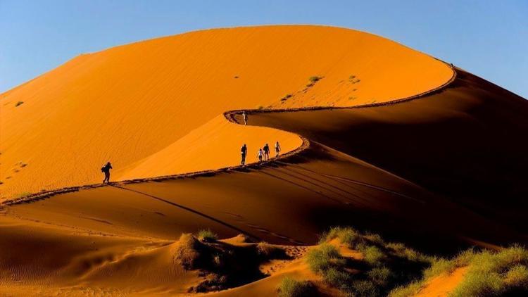 Exploring the dunes and denizens of Namibia, searching for scallops and more