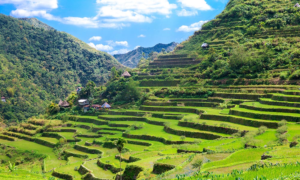 Food and tourism in the Philippine Cordillera
