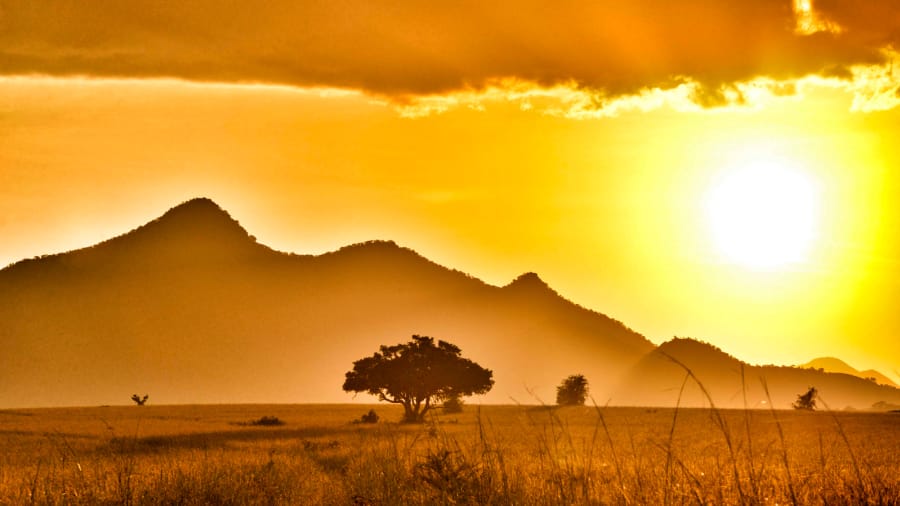 8 of the best safari destinations in Africa