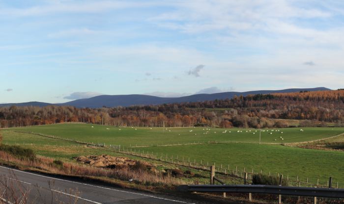 Cheers to new whisky distillery for Cairngorms National Park  Cheers to new whisky distillery for Cairngorms National Park