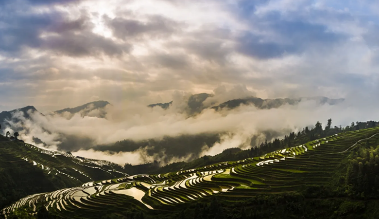 Guizhou | Congjiang County| Terraced Fields