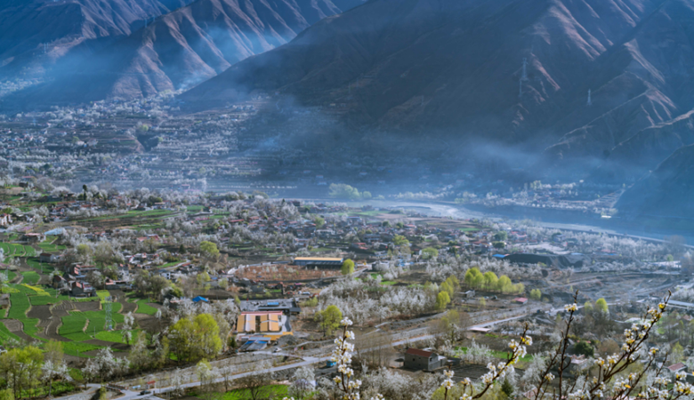 Sichuan | Jinchuan County| Pear Blossoms