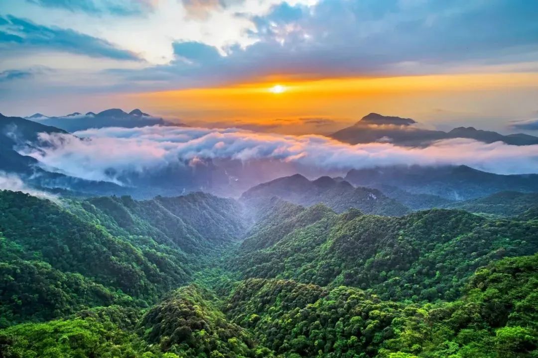 农文旅融合如何为乡村振兴赋能？