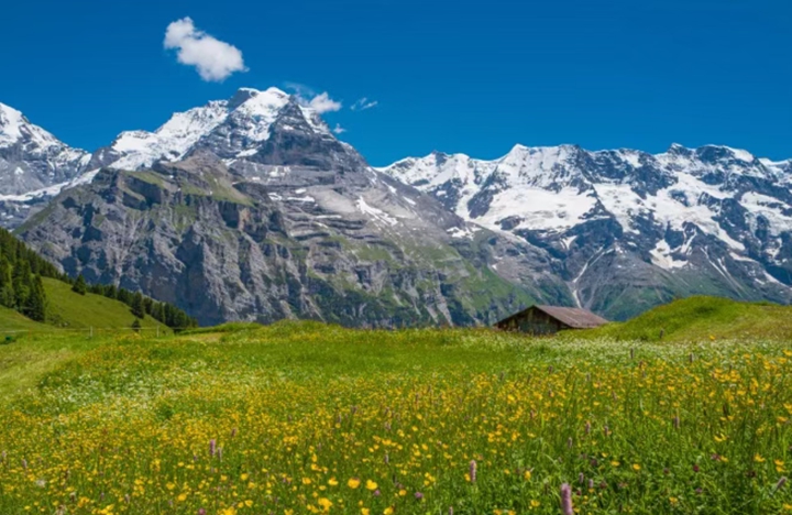 未命名_副本.jpg 未命名_副本.jpg