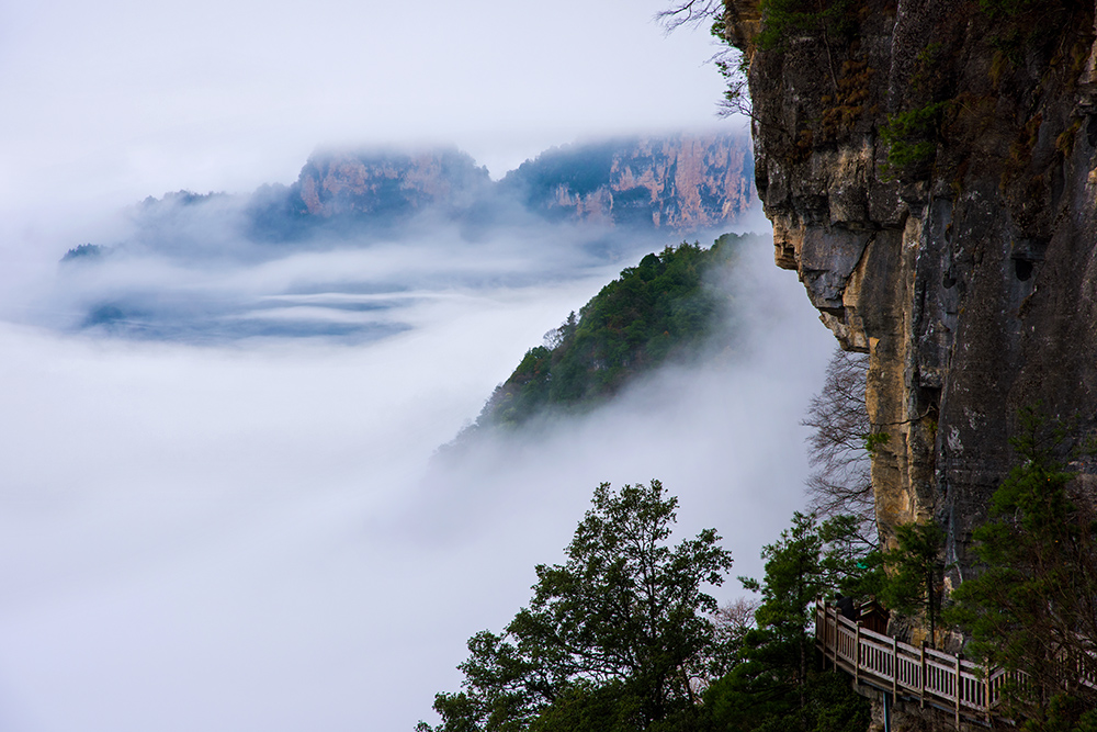 Shennongjia Forestry District 