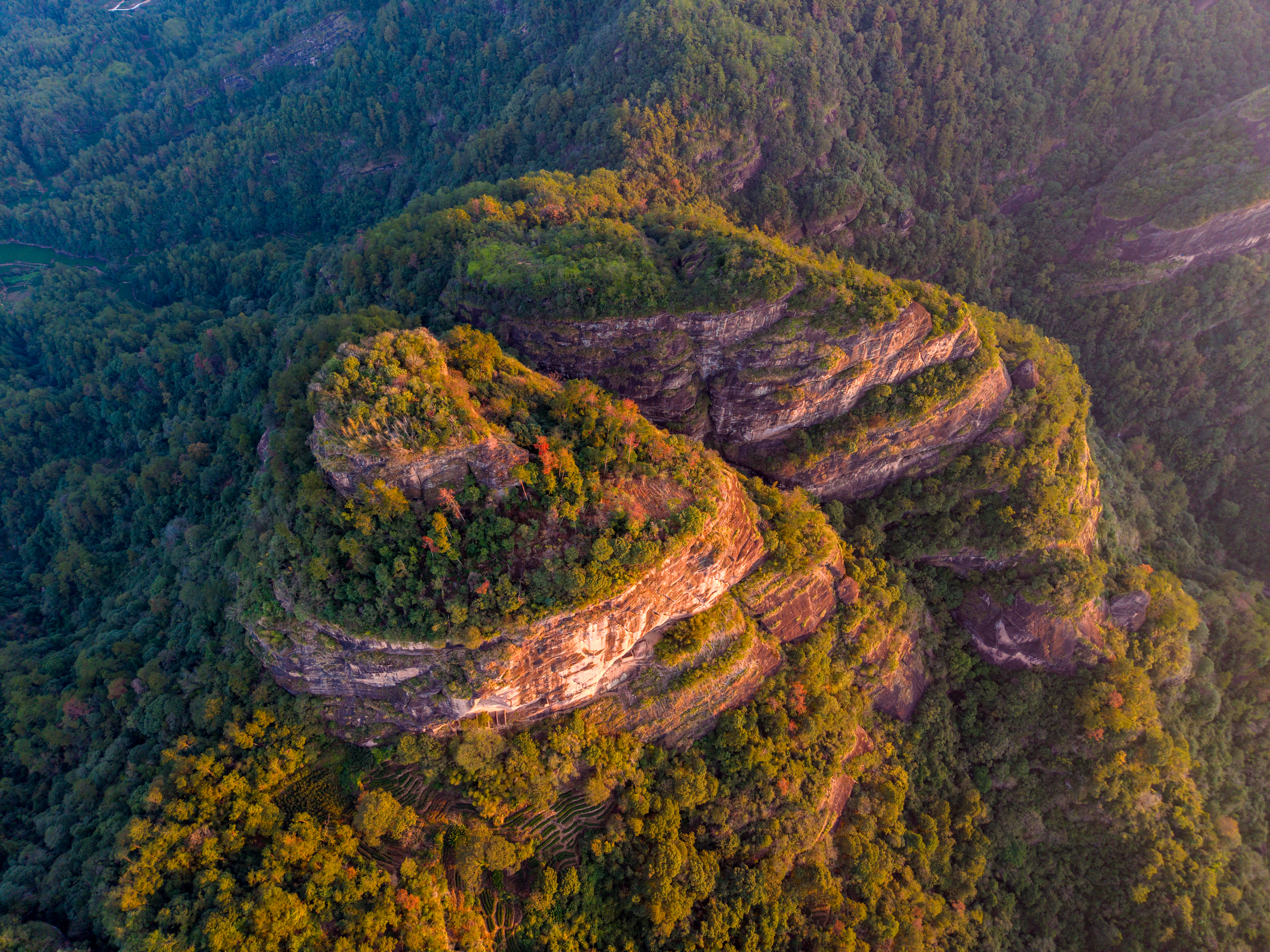 福建武夷山 (1).jpeg