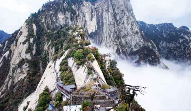 会员周报：长隆旅游发展论坛在珠海横琴举行；华侨城旗下文旅项目上半年接待游客3634万人次...