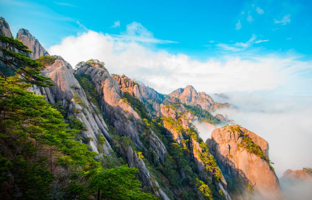 d85e19d61983485799f338a4077dc34d.png 图片