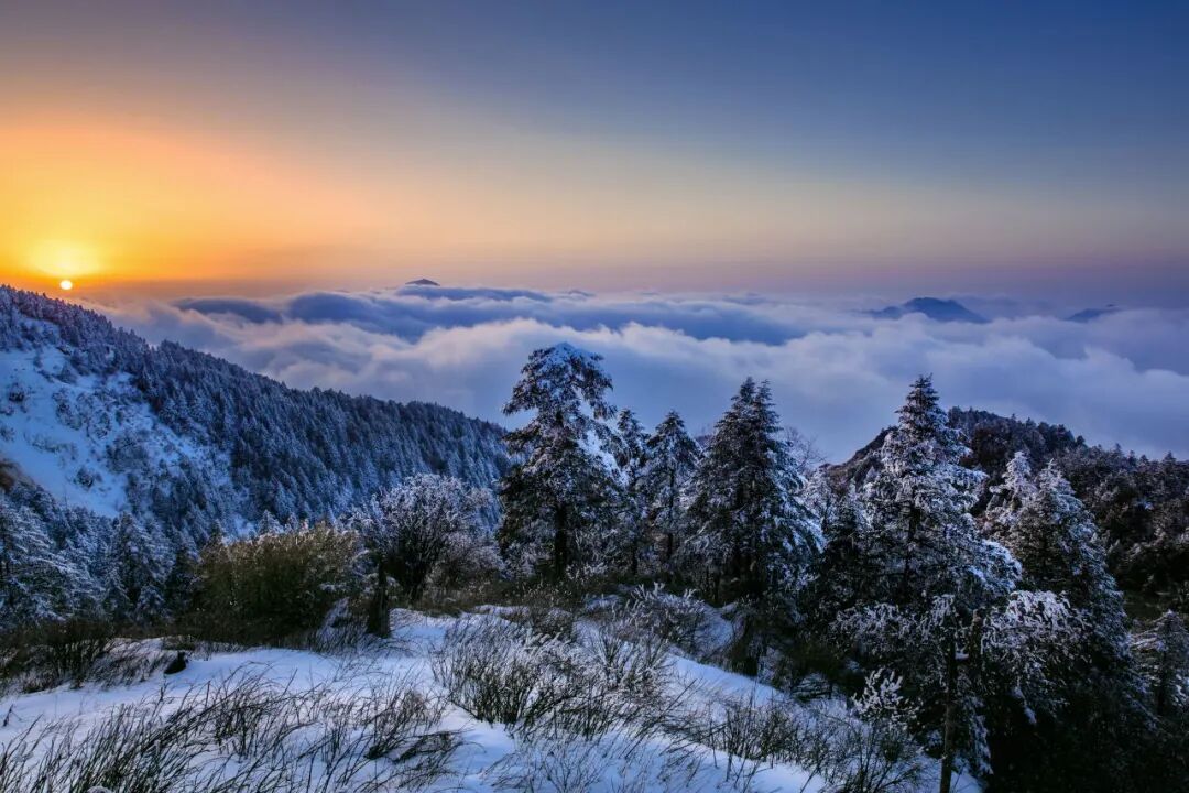2a45d6a6f0794a11b2ea4ae4a0f936f8.jpg 图片