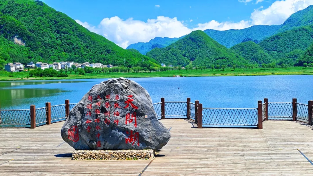 e29657224ba14ee9bb32c0cf5e88b552.webp 图片