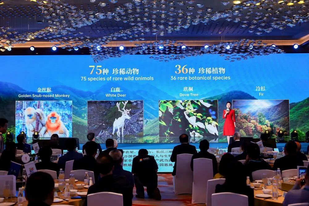 cdf4ebed82604621b27272d72b728b6c.jpg 图片