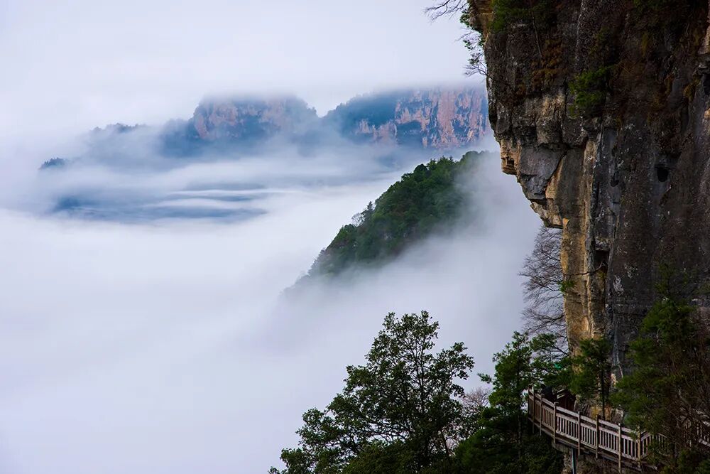 0c4f6031e5d948c59ec68e0c3c4e1886.jpg 图片