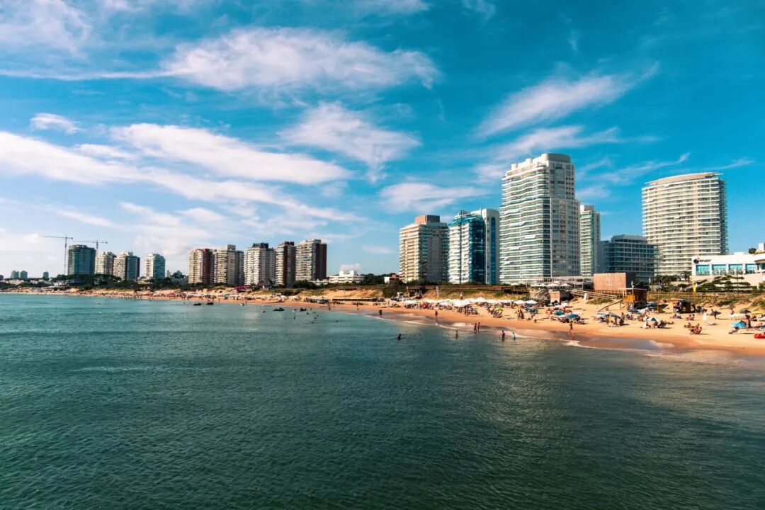 ae20c77842234040a29d0459d12d276a.jpg 图片