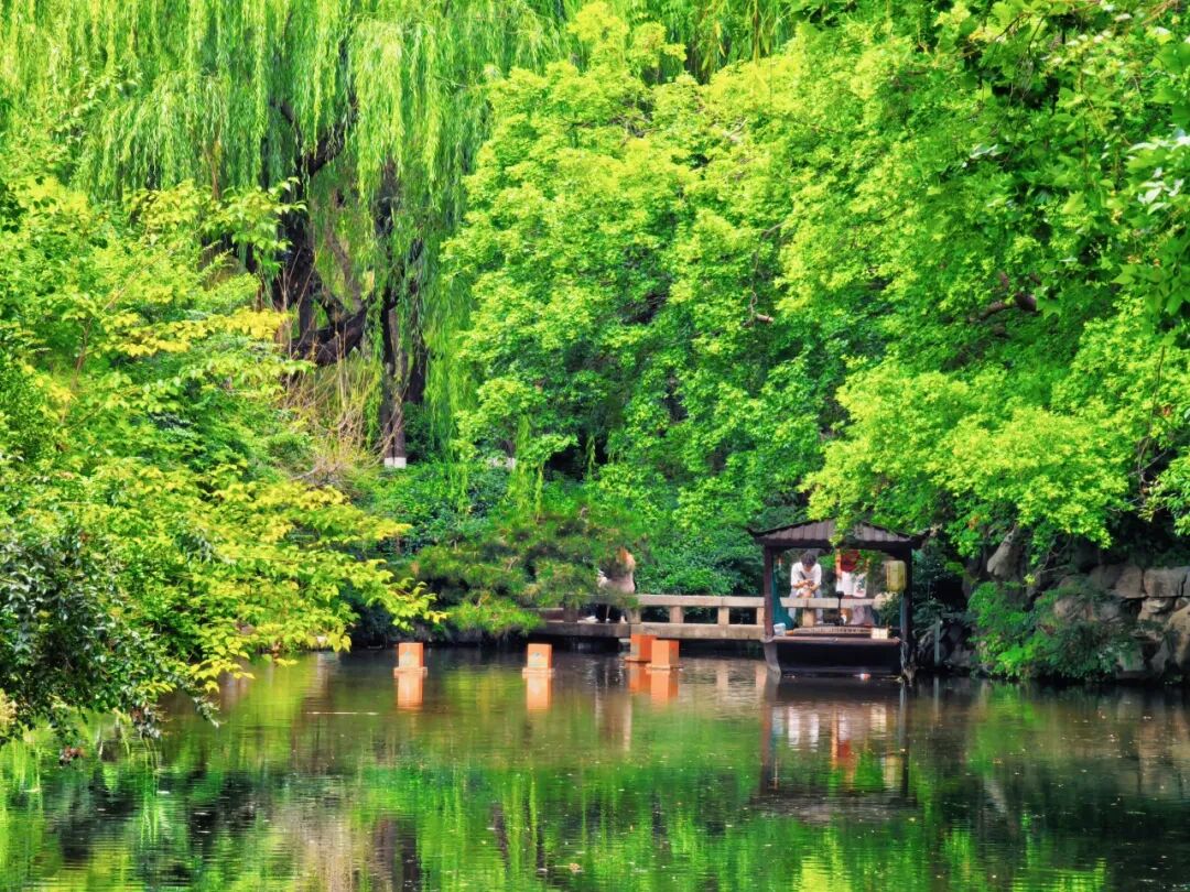 c091872cf2724a8c8cfe566c66c355ca.jpg 图片