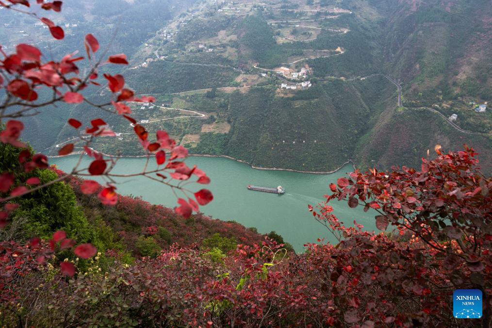 Yangtze River cruise tourist numbers hit 20-year high in 2023