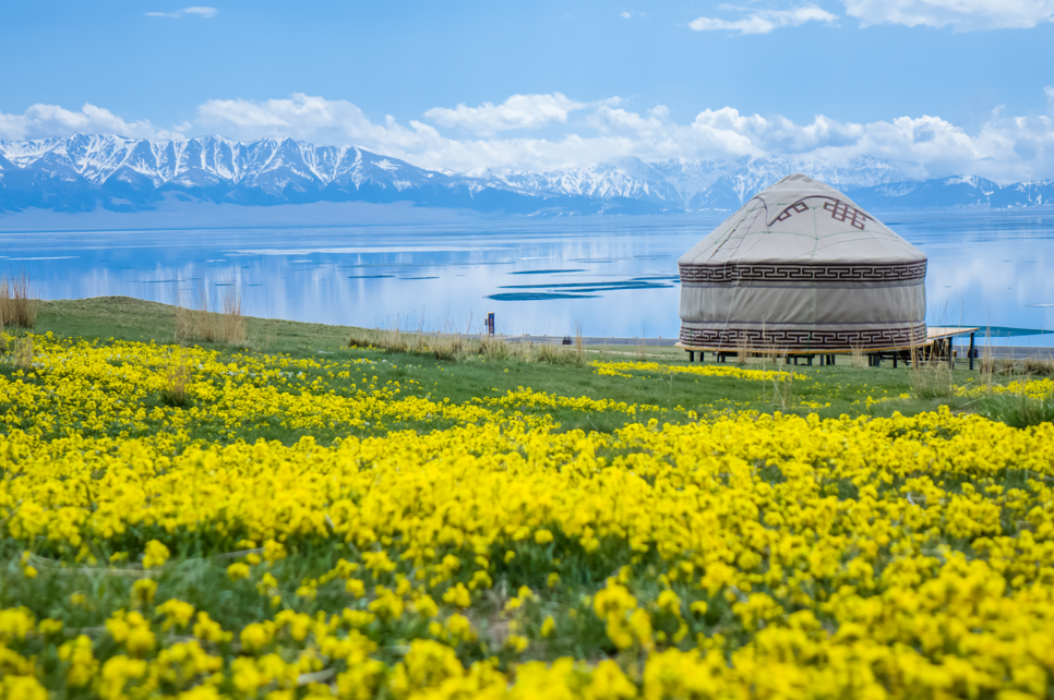 天山脚下“冷资源”激活乡村“热经济”
