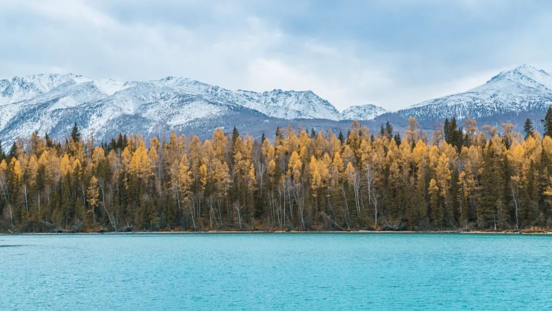 山地旅游 | 梦里故乡，喀纳斯