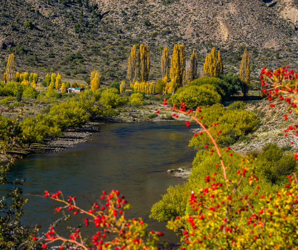 Fall in Bariloche,Treat yourself,non-stop! 