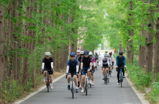 2025年前三季度国内居民出游人次49.98亿