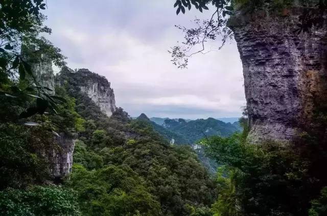 【工作简报】第6期：联盟与《国际山地生态旅游目的地指标体系》项目组专家交流座谈