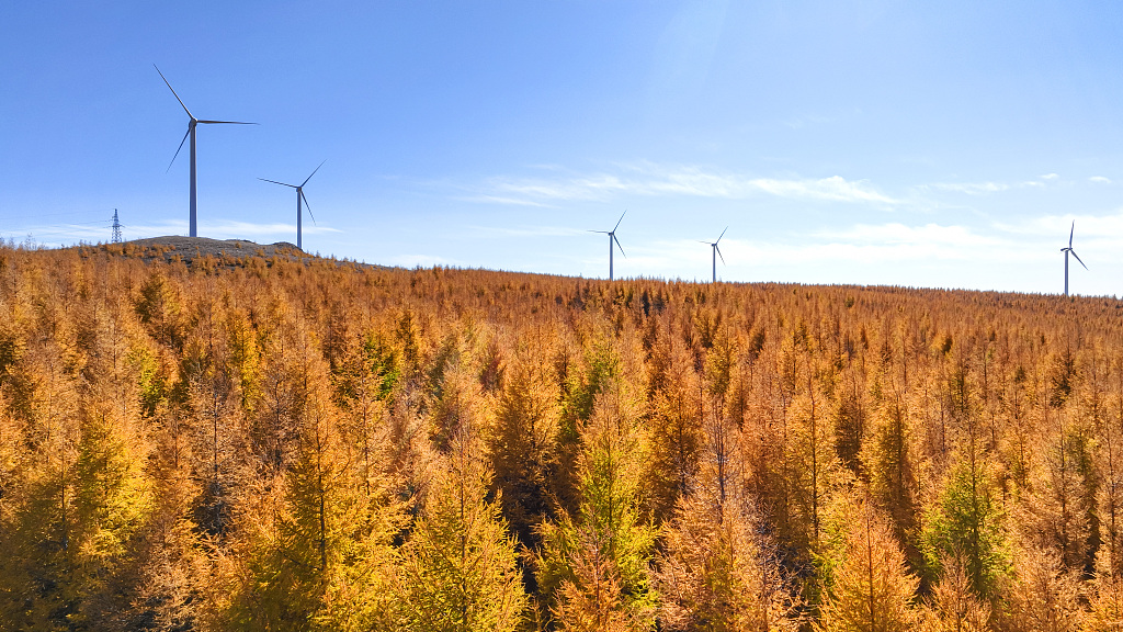 Autumn sceneries across China
