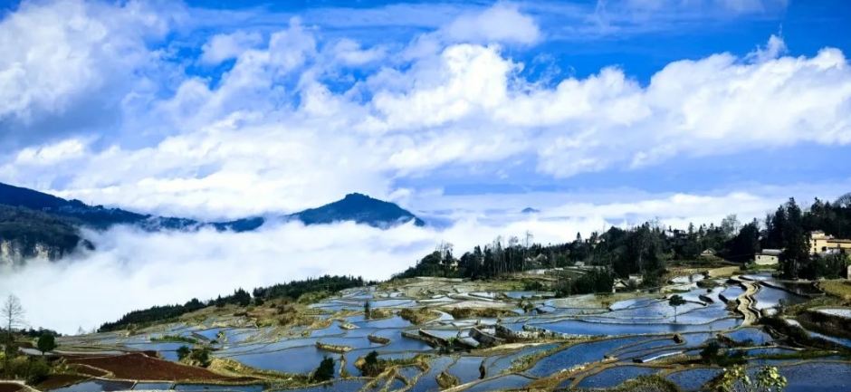山地二十四节气丨立夏·灌溉