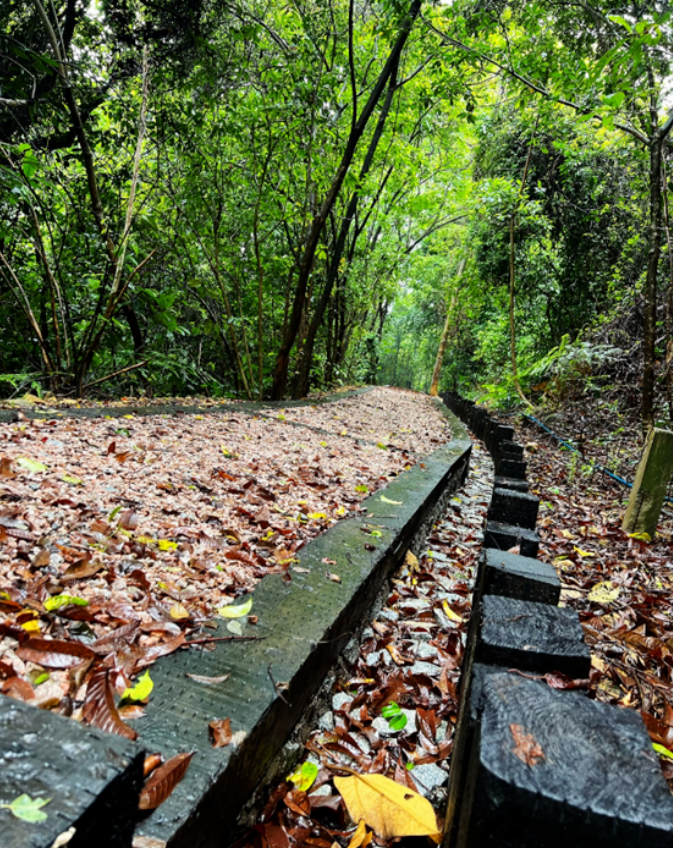 你想要的步道通识都在这——步道常见问题十五问