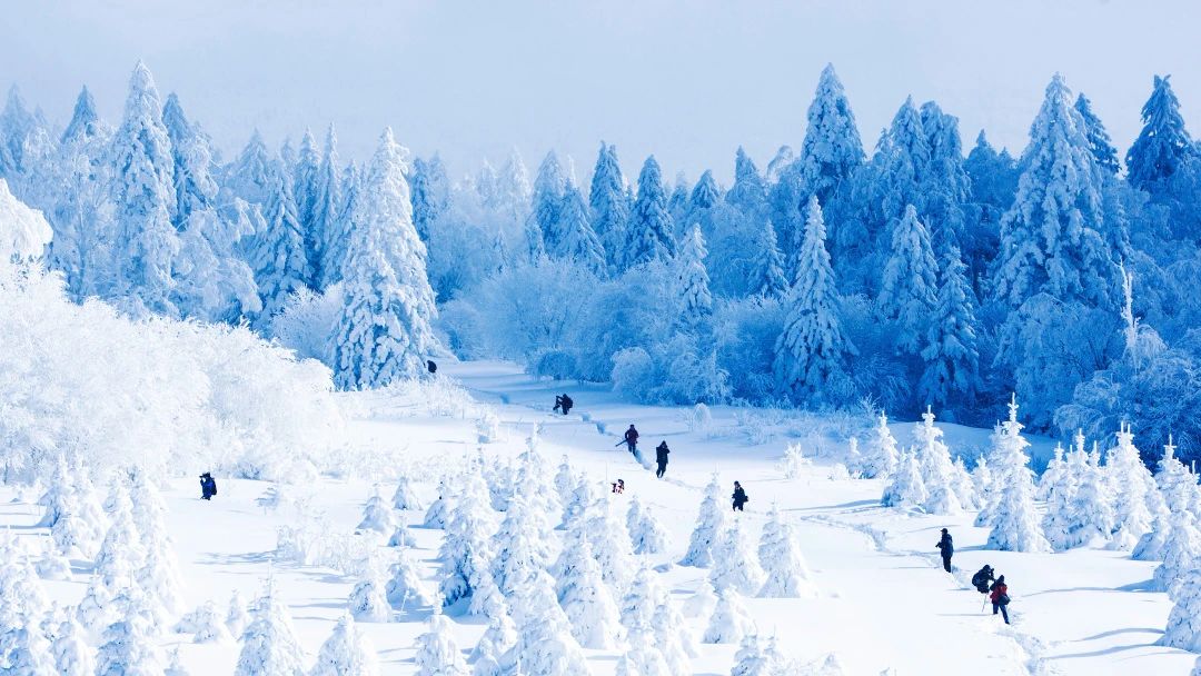 【玩转山地】大雪