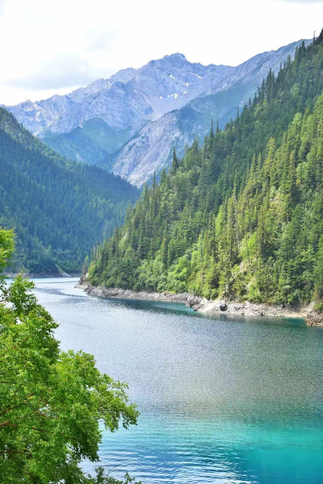 2025四川省冬季旅游季启动 “蜀山暖雪”受东南亚游客青睐