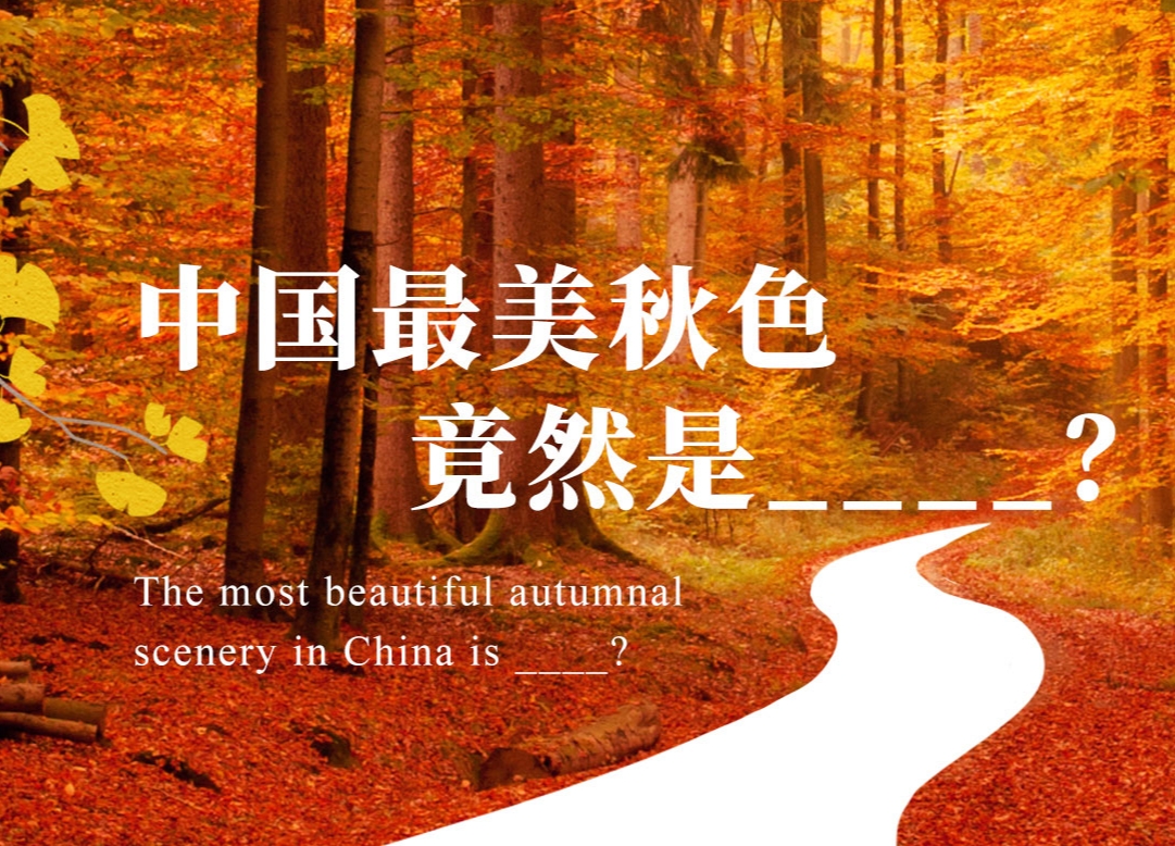 秋季专题·2024