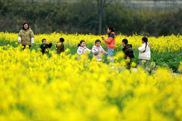 China expects sharp rebound in tourism this year