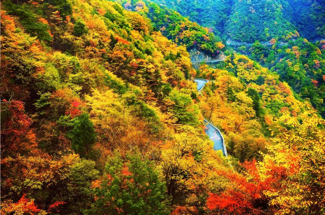 2025神武峡毅行大会新闻推介会召开