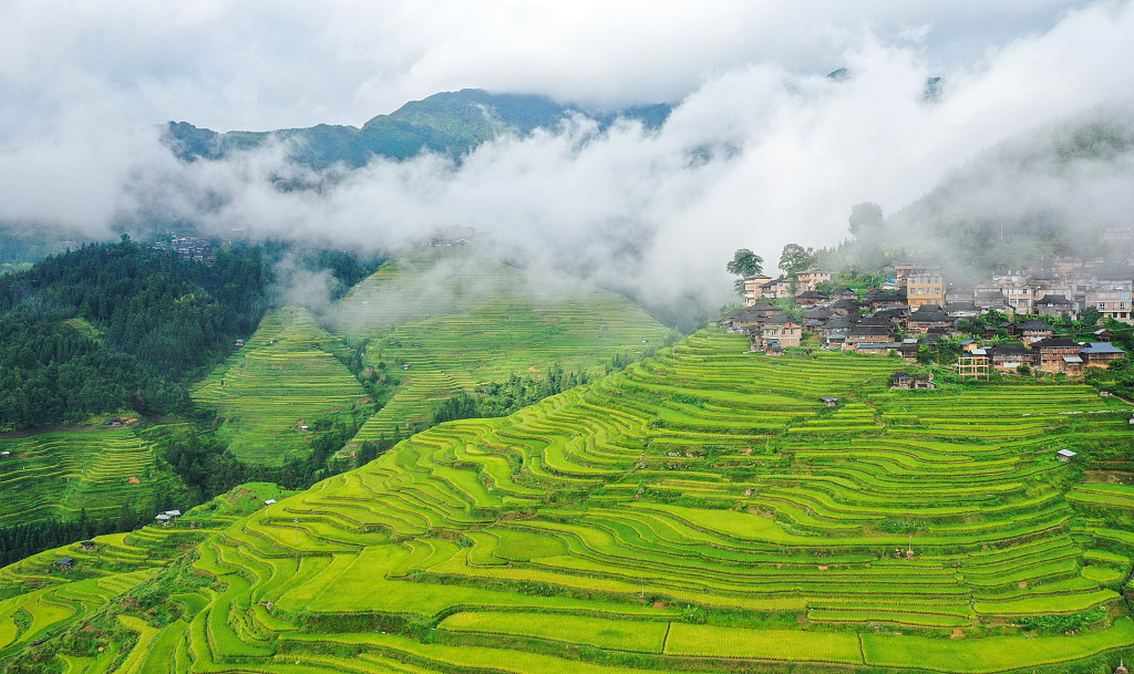 Spectacular rice terraces in Guizhou