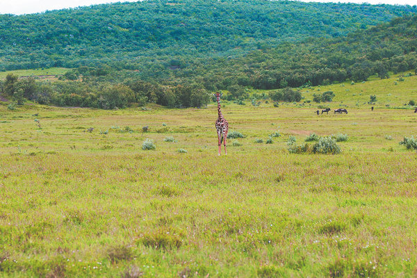Kenya