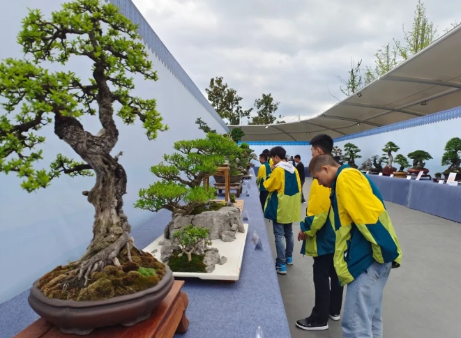 中国风景园林学会花卉盆景赏石分会“盆景盆器之美”专题研讨暨贵州杜鹃盆景展在百里杜鹃开幕