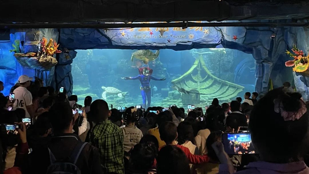 Sante Cableway "May Day" data hit a new high, WuHan Dong Hu Sea World daily revenue broke 2 million 