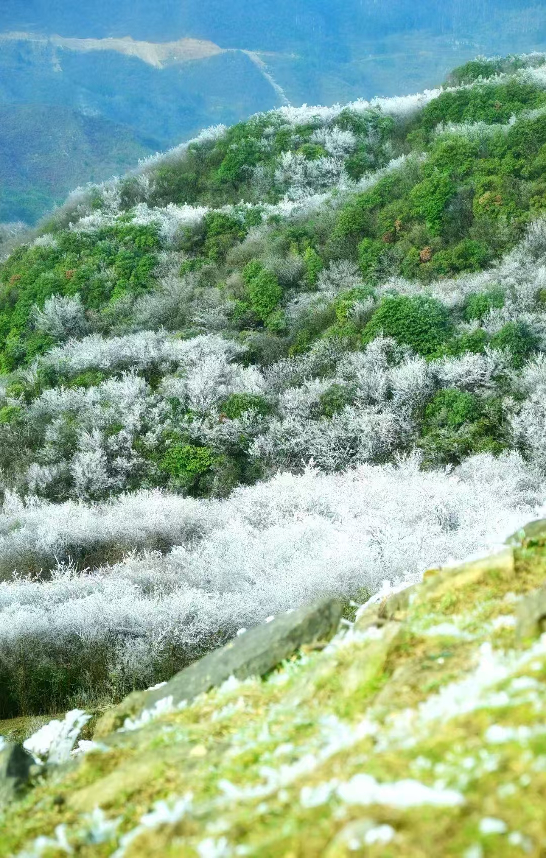 冰雪列车：串联“冷资源”点亮“热经济”