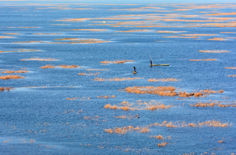 王笑宇 | 文旅新业态生成和培育机制研究（文旅部重大课题阶段成果）