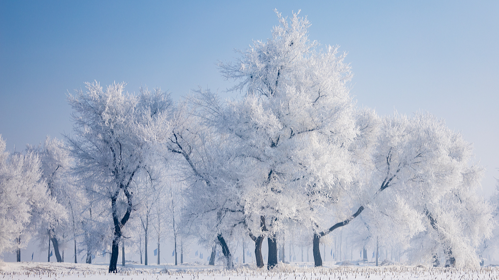 Enchanting rime phenomenon on display in Jilin