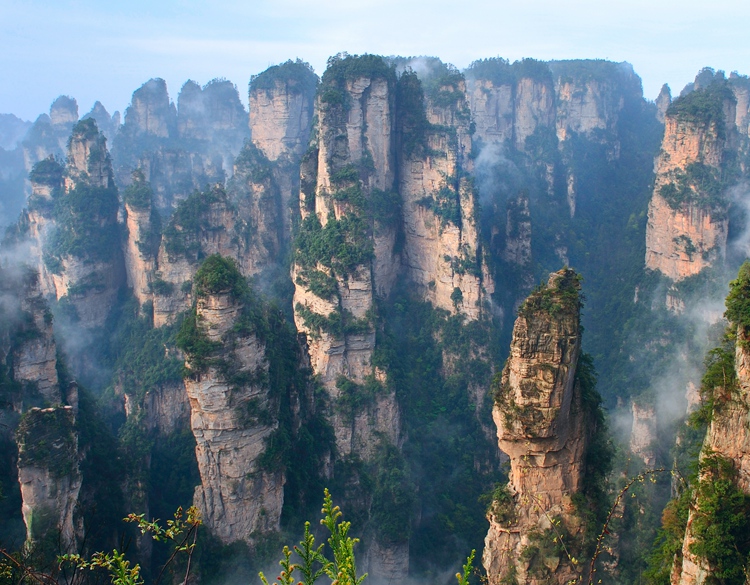Stone Forest in Zhangjiajie Scenic Spot（Qin Wenle）
