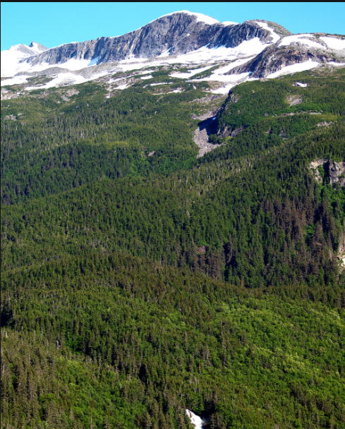 【玩转山地】奇山峻岭，峡谷丛林，在树影婆娑间感受人生渺渺