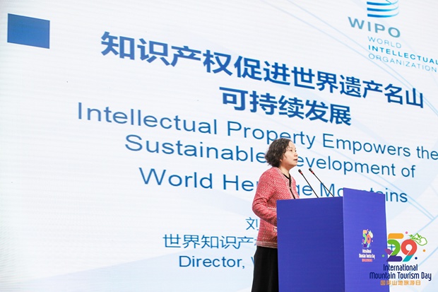 WIPO · Liu Hua | IP Empowers the Sustainable Development of World Heritage Mountains