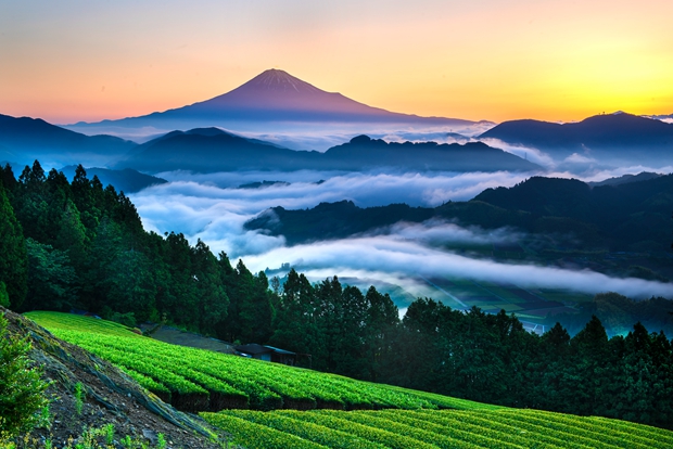 富士山与南阿尔卑斯山.日本静冈县清水区吉原（刘海ryuhai）